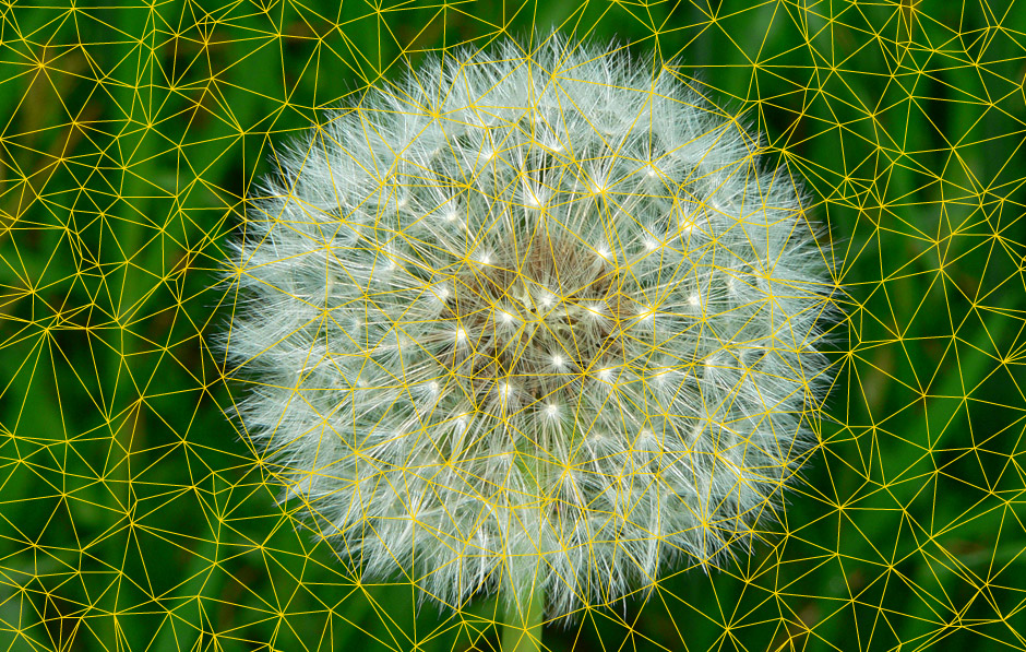 go_dandelion_brooch_concept